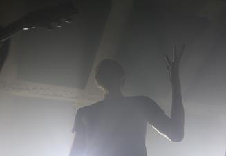 Ulsect