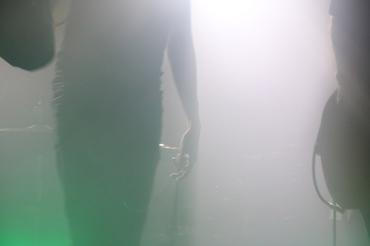 Ulsect