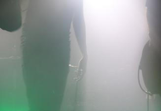 Ulsect