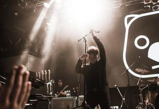 TheWombats3