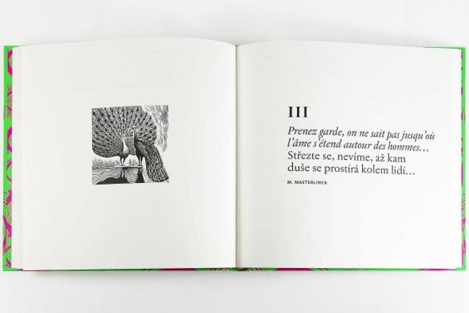 fullmoonzine.cz