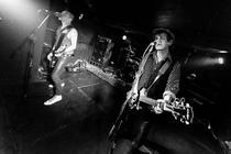 TheVibrators (4)