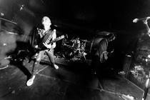 TheVibrators (6)