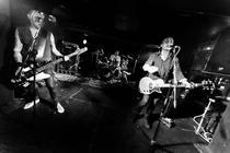 TheVibrators (12)