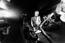 TheVibrators (11)