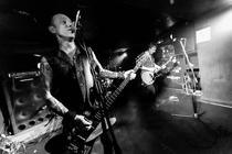 TheVibrators (14)