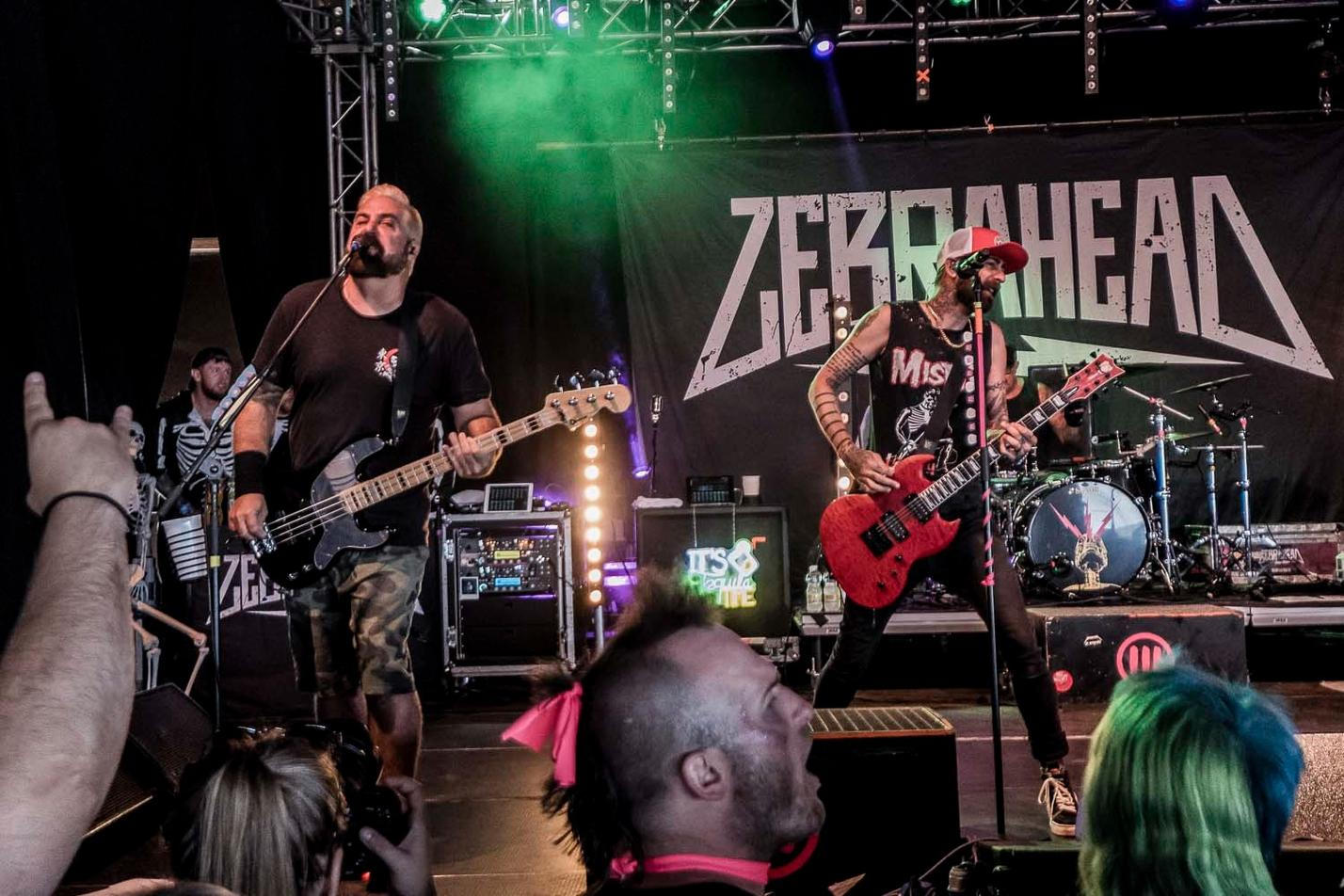 3_Zebrahead (3)
