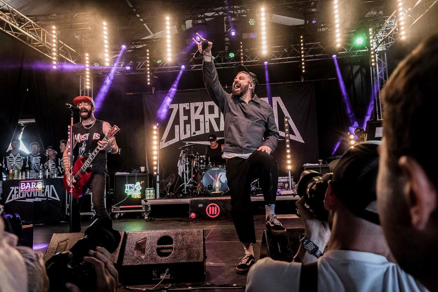 3_Zebrahead (5)