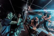 5_Fidlar (1)