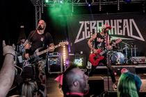 3_Zebrahead (3)