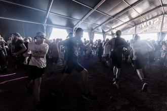 3_Zebrahead (2)