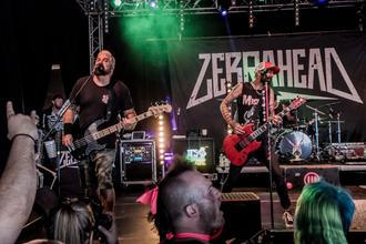 3_Zebrahead (3)