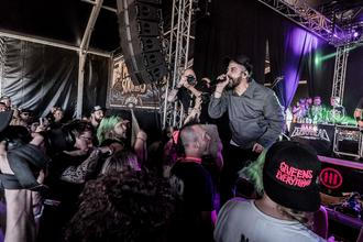 3_Zebrahead (6)