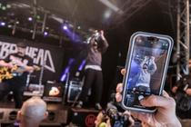 3_Zebrahead (4)
