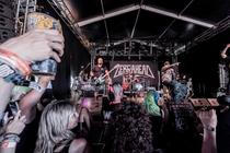 3_Zebrahead (1)