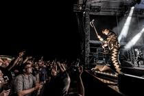10 The Hives (3)