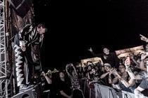 10 The Hives (5)