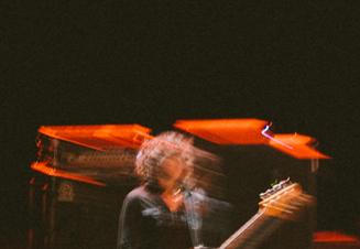 Swans