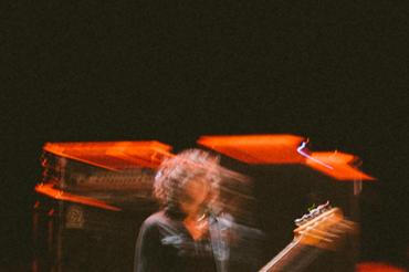 Swans