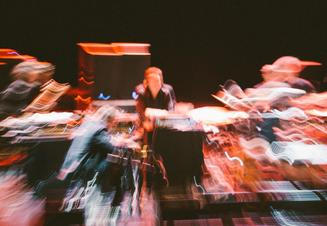 Swans