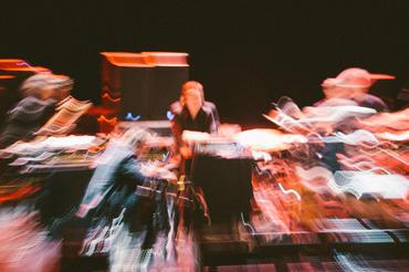 Swans