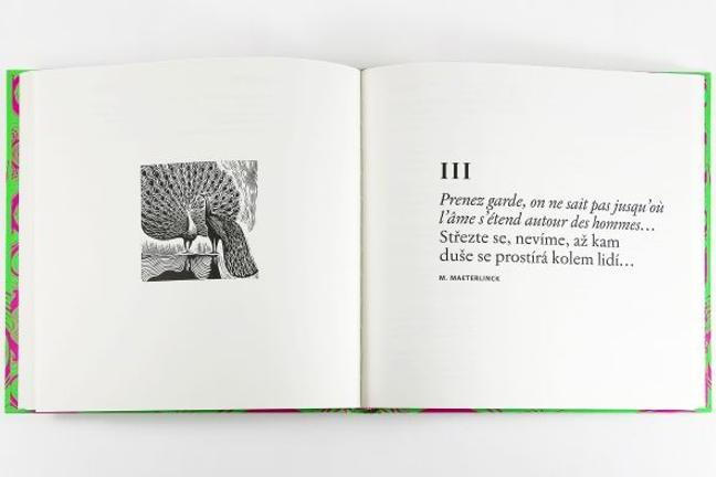 fullmoonzine.cz