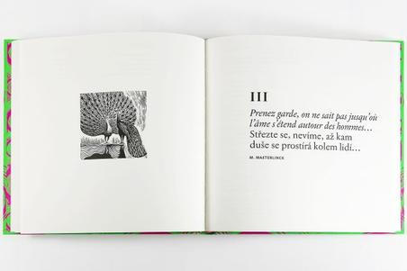 fullmoonzine.cz