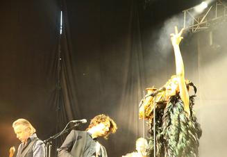 PJ Harvey