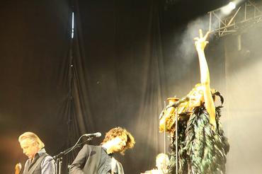 PJ Harvey