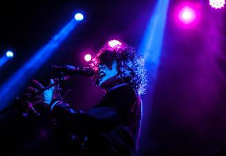 LP (5)