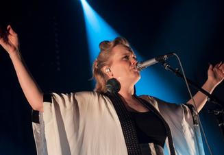 11_ane_brun