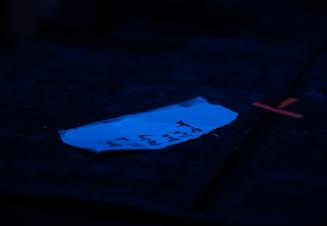04_zabelov_group_tt