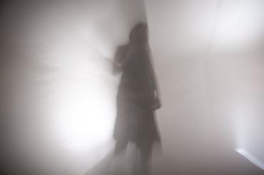 Fæ Bestia