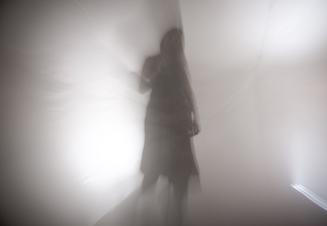 Fæ Bestia