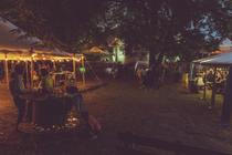Vivat_Moody_Moon_Noize_vol (11)