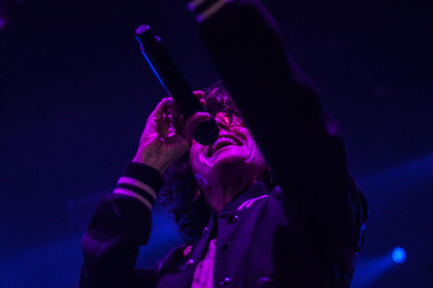 LP (8)