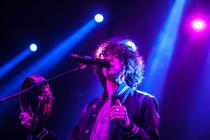 LP (1)