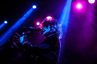 LP (5)