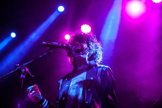 LP (4)