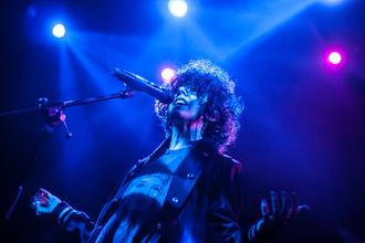 LP (6)