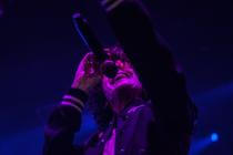 LP (8)