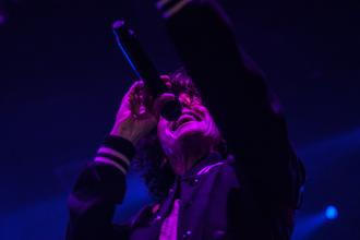 LP (8)