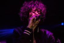 LP (7)