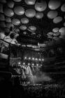 Rodgriguez - Royal Alber Hall-9