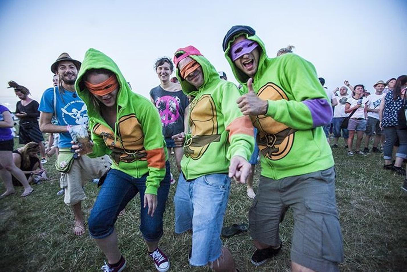 Zelvy Ninja