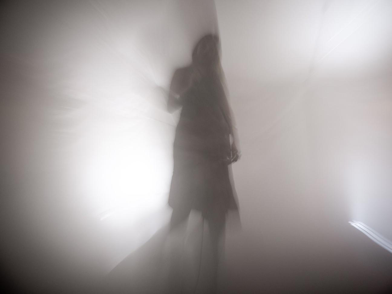 Fæ Bestia
