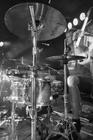 summer-punk-party-plexis-00005