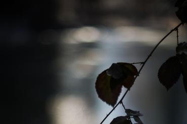 2-Fragments-of-nature