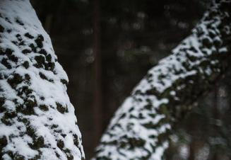 3-Fragments-of-nature