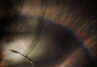 1-Fragments-of-nature